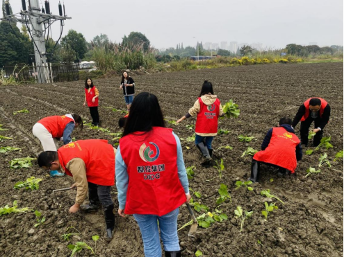 1699233639854266.png image.png