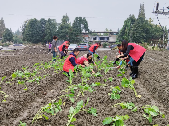 1699233665136879.png image.png